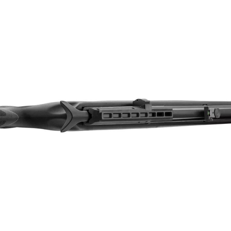 Pack Carabine PCP GAMO Arrow 5.5mm 19.9J + lunette 3-9x40wr +